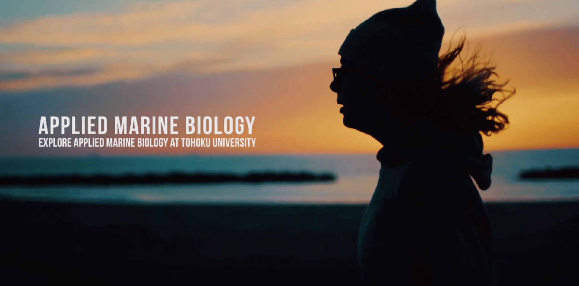 東北大学様 Applied Marine Biology (AMB)