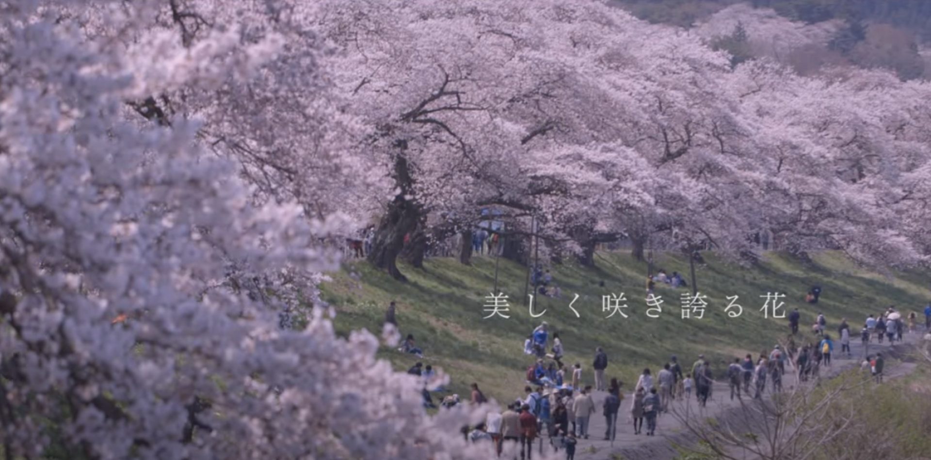 Shibata Town, Miyagi Prefecture Shibata is nice.