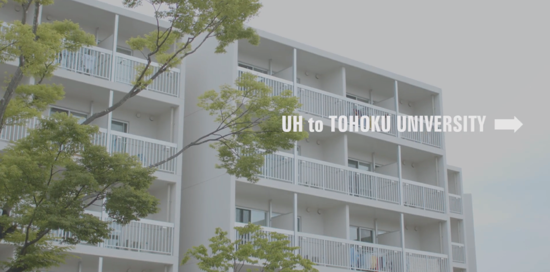 Tohoku University, University House (UH)